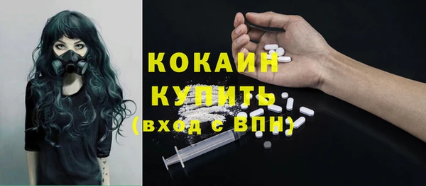 метадон Ельня