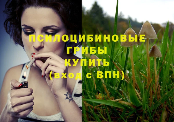 метадон Ельня