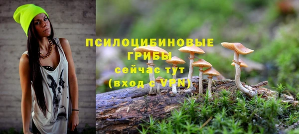 метадон Ельня