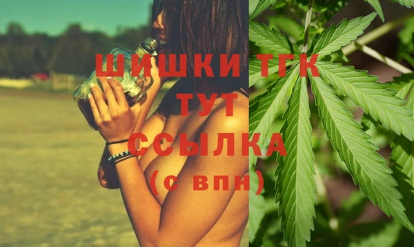 винт Елизово